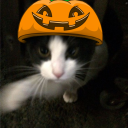 Discovery icon for Chillied 🎃 Discord server