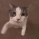 Eren's  World's icon