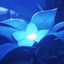 Blueberry  ・ Discord Server Icon