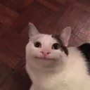 NEW身内鯖