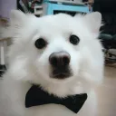 Snowy's Fanclub