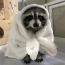 Iᴍᴍᴏʀᴛᴀʟ