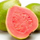 Hijos de la GUAYABA