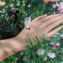 Heaven's Guild || Friend's & socialize's icon