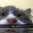 Server icon