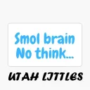 Utah Little Space
