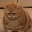 ◍　CHONK　0/1