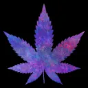 MAGIC GANJA