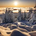 Winter land