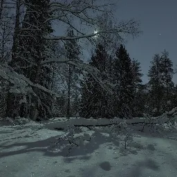 ЛЕС — Дискорд Сервер