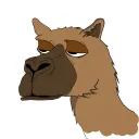 The Lazy Camel Club