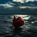 Rose Mulet's Flower Petals