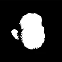 Misfits Ape Society