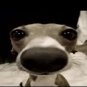 :3