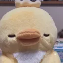 しゅのぴよ鶏舎