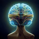 The Mind Of A Machine