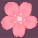 Blossom ❀