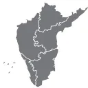 South Indian languages