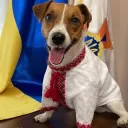 Україна