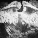 𝐃𝟑𝐒𝟏𝐑𝟑𝐒 avatar