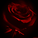 𝐃𝟑𝐒𝟏𝐑𝟑𝐒