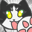 はちわれ猫尾(わさび)のサーバー