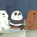 🌸The Beary hub!✨