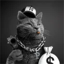 PUSSY