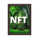 NFT unrecognized artist community