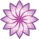 Chrysanthemum
