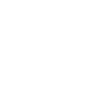 10102 X