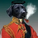 The awesome dog