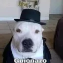DaviMundo