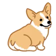 ADY
