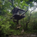 The Treehouse 🌳