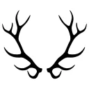 Wapiti