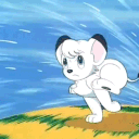 🤍  Kimba the White Lion Fan Club 🖤's icon