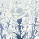 𝐑𝐨𝐬𝐞 ネェ加 Discord Server Icon