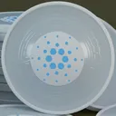 CNT