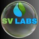 SV Labs Discord Server Icon