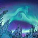 Norden Paradise's icon