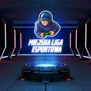 Miejska Liga Esportowa