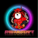 shibarisenft's server