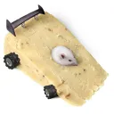 Forza horizon 7