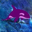 Celo Orca
