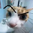 ussu's cool af server ahah Discord Server Icon