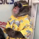 Monkey Shop