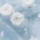 ↷✦; the frozen deep sea ❞