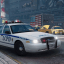 Ford Crown Victoria Server