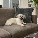 JJ'S DISCORD 🐶